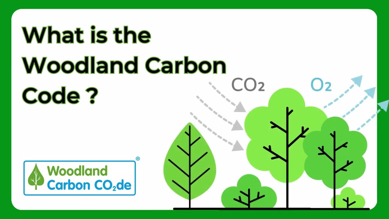 What is the Woodland Carbon Code?