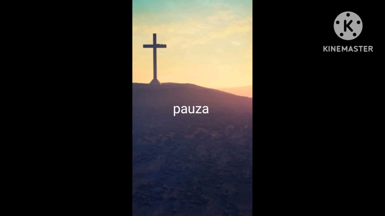 A mai trecut un an de zile Negativ cu versuri