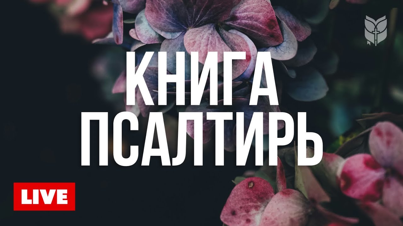 Слово Божье 24/7 — Надежда для сердца 🔴 BibleVision Прямой Эфир