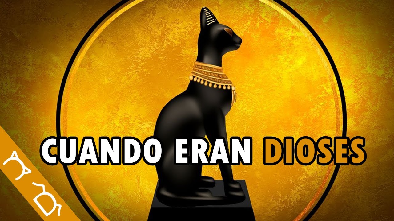&iquest;Por Qu&eacute; Los Gatos Eran Adorados En El Antiguo Egipto? | Por Esto Los Egipcios Adoraban A Los Gatos