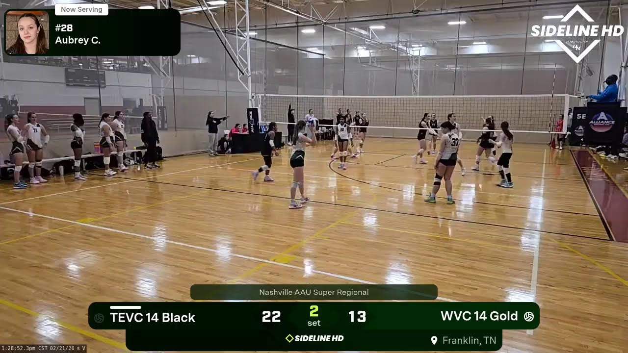 WVC 14 Gold vs. TEVC 14 Black (2026.02.21)