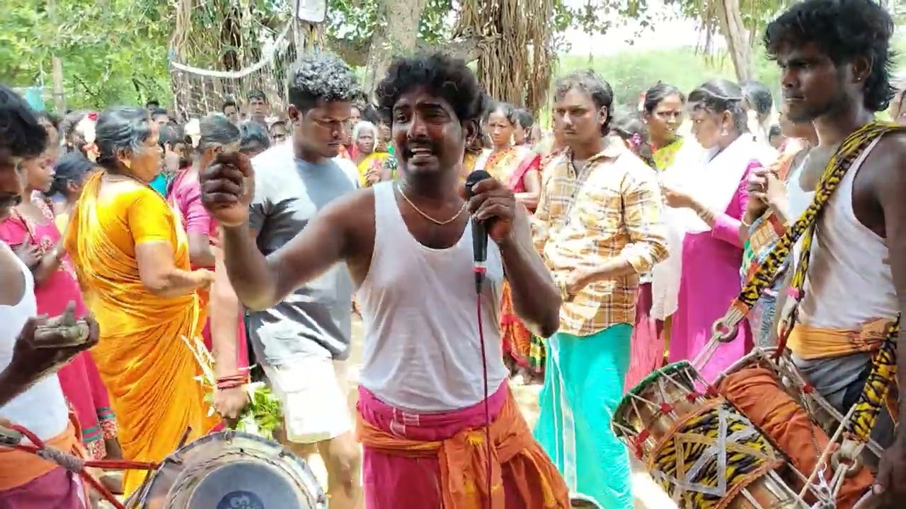 Surya pambai vandavasi 🥰😍🤩