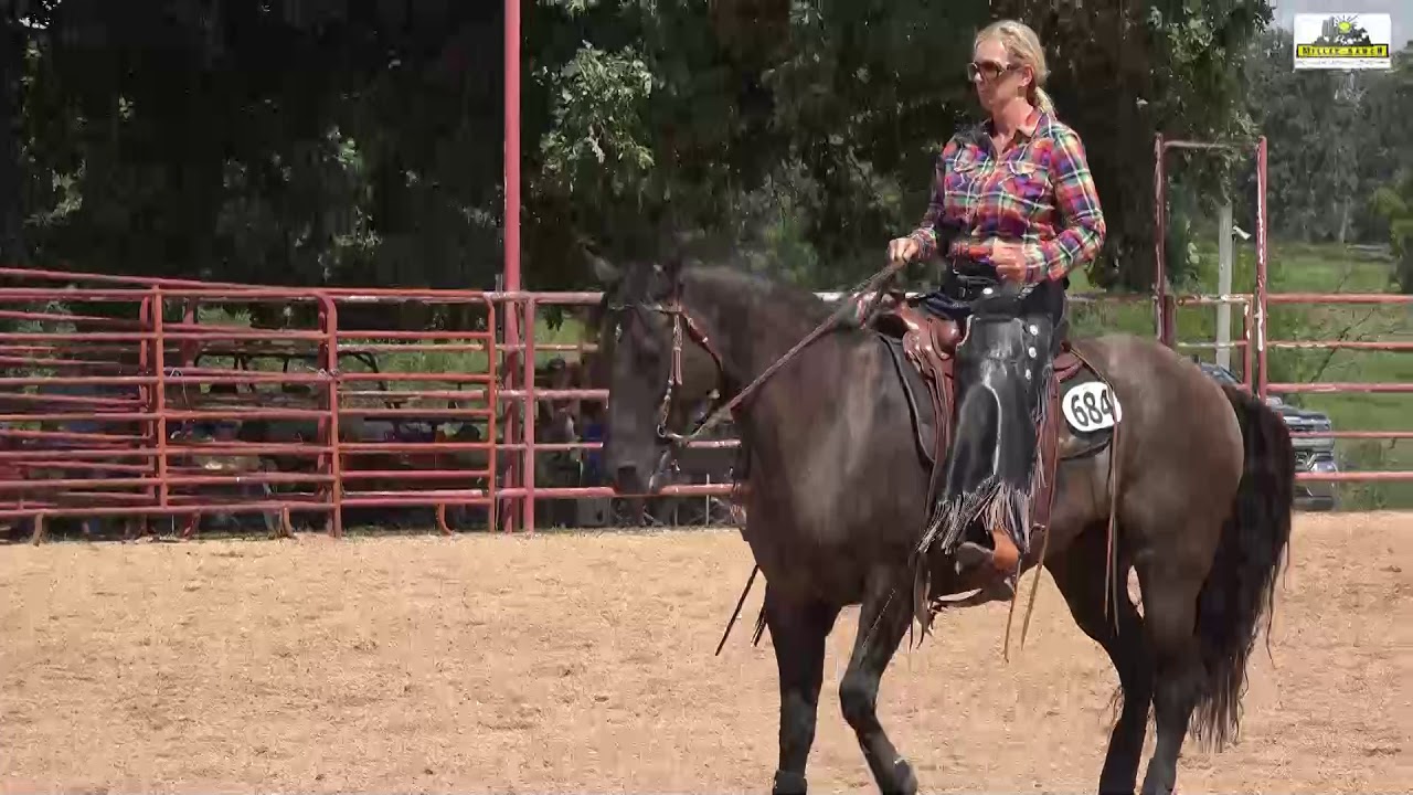 Missouri Fox Trotter Ava 2018 Amateur Ranchhorse Versatility WC