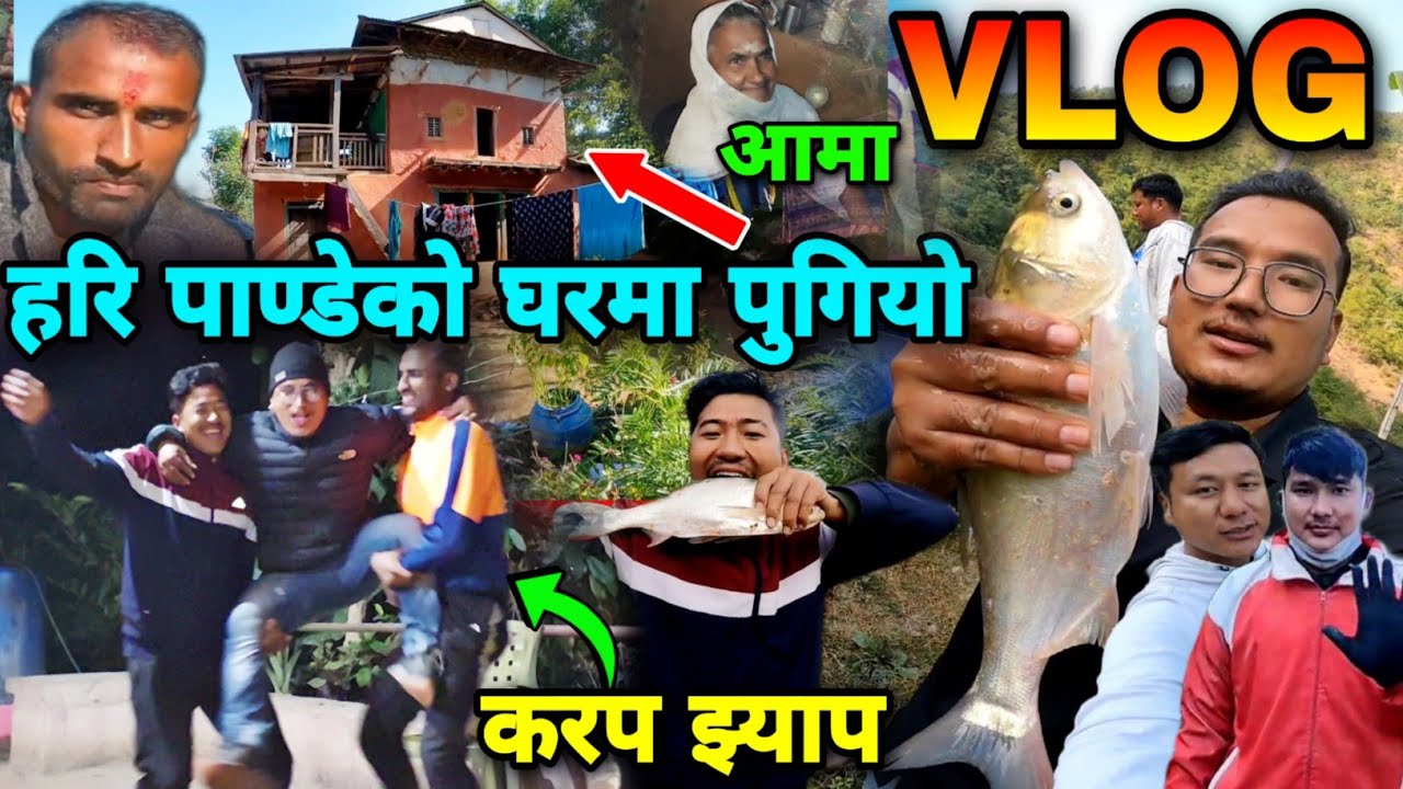 करप झ्याप हरि पाण्डेको घरमा| babin gaha vlog | hari pandey house | himal sunari | nabin thapa manish