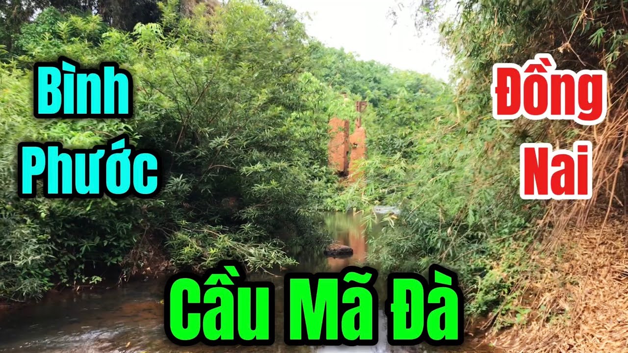 Cầu Mã Đà Và Ranh Giới Giữa Hai Tỉnh Đồng Nai - Bình Phước