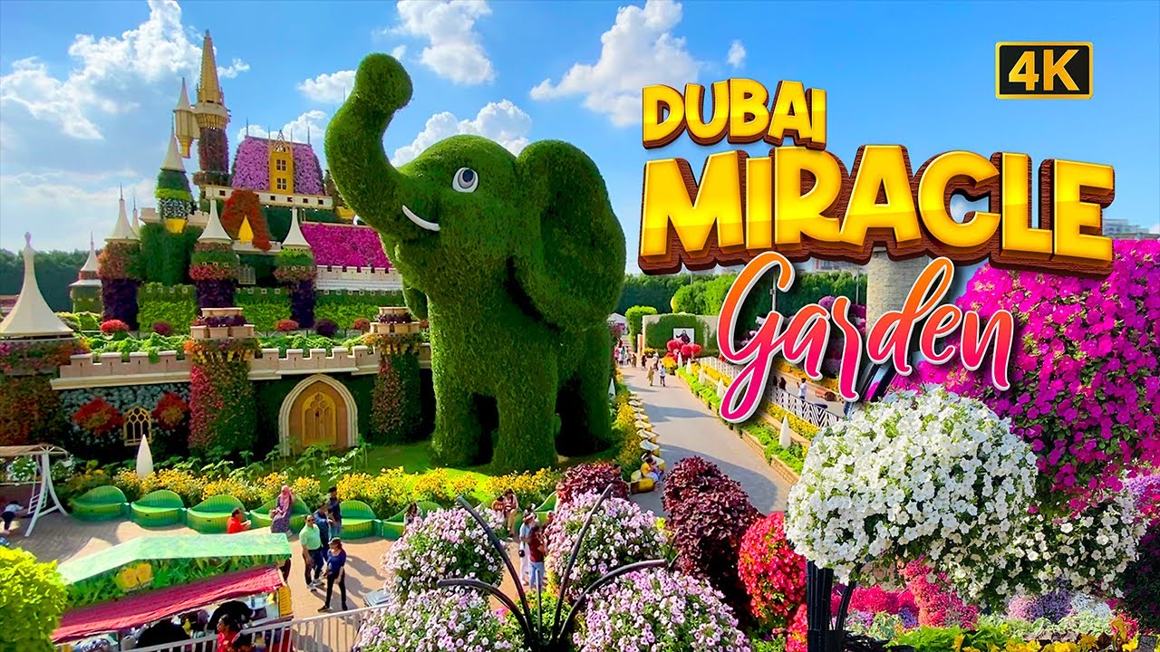 MIRACLE GARDEN DUBAI   4K   | പൂക്കൾ നിറഞ്ഞാടുന്ന  ഉദ്യാനം