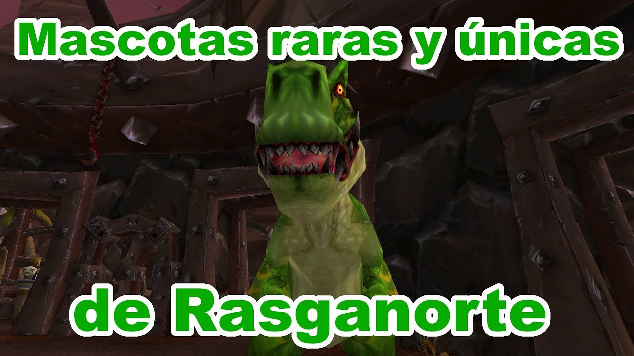 Mascotas de cazador #10 Raras y únicas de Rasganorte.