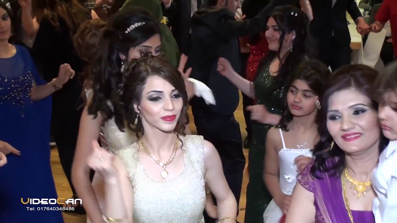 رقص شيخاني دلشاد قامشلو