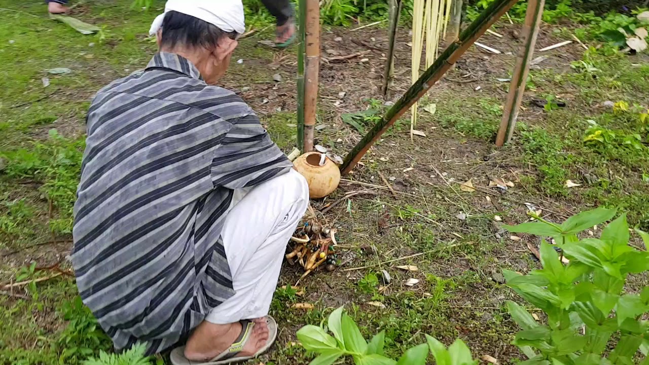 Bidayuh Tribe of Sarawak jungle spirit gawai