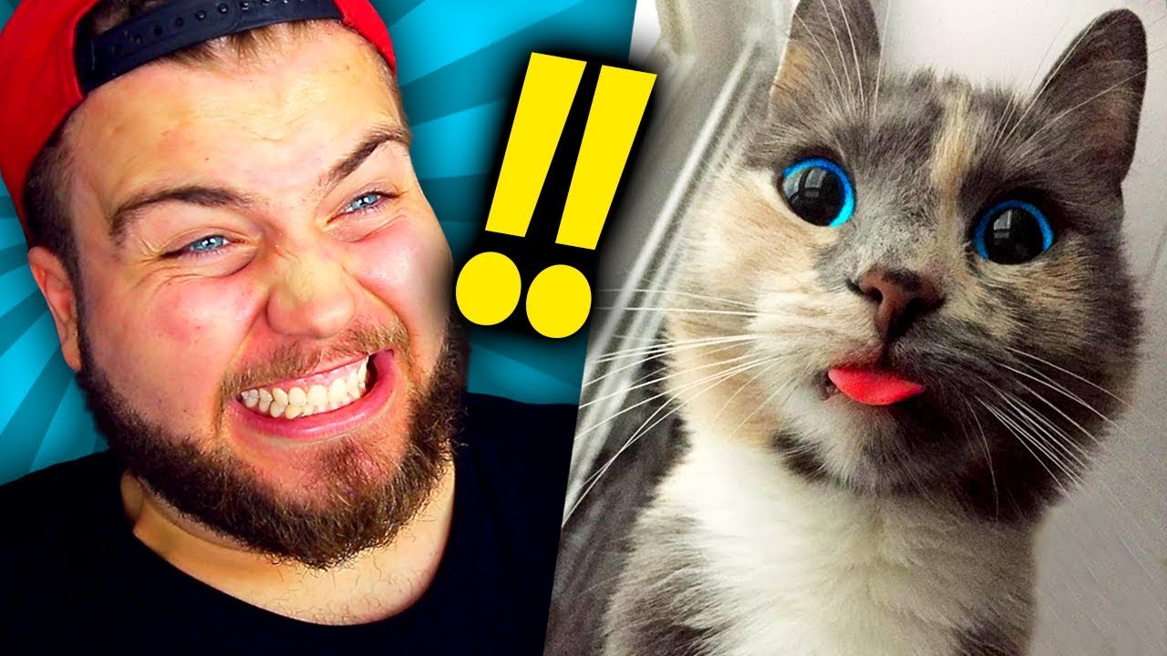 TENTA NÃO ACHAR FOFO