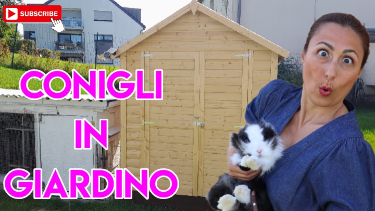 Casa per Conigli | Conigli in Giardino  