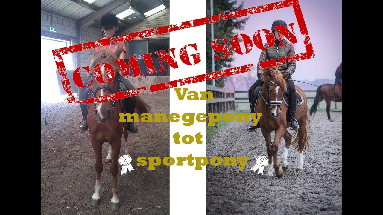 Trailer | 'Van manege pony tot sportpony' | @Life_of_our_advokadopownies_