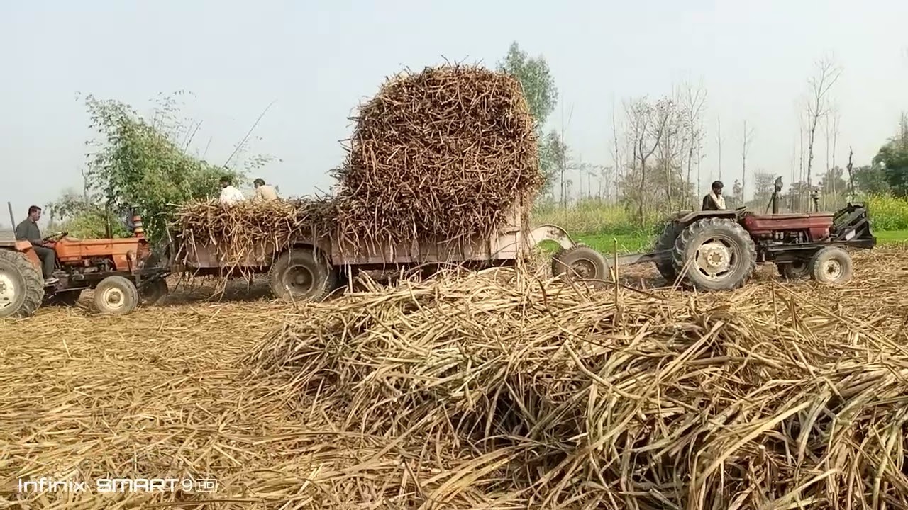 #automobile Part 06 Fait 480 vs 640 vs Guhzi 65ph Tractor Now Videos 