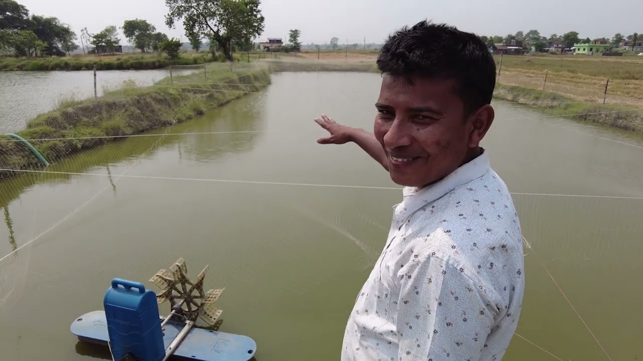 Chandra Prakash Kunwar | Fish Farmer | IRDN Project