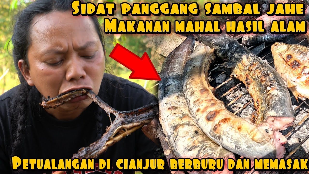IKAN SIDAT BAKAR SAMBAL JAHE HASIL ALAM