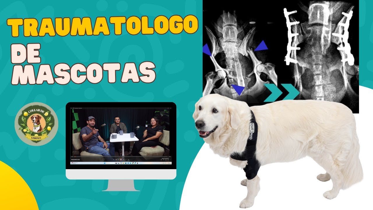 Muchas lesiones tienen solución. Lo importante  confiar en la medicina especializada/ Dr Hector Diaz