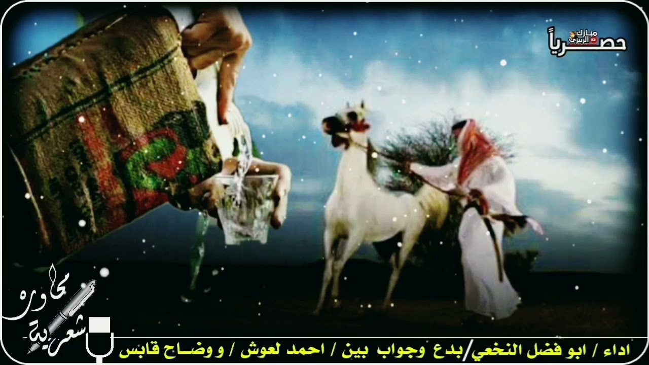 دان بدوي 