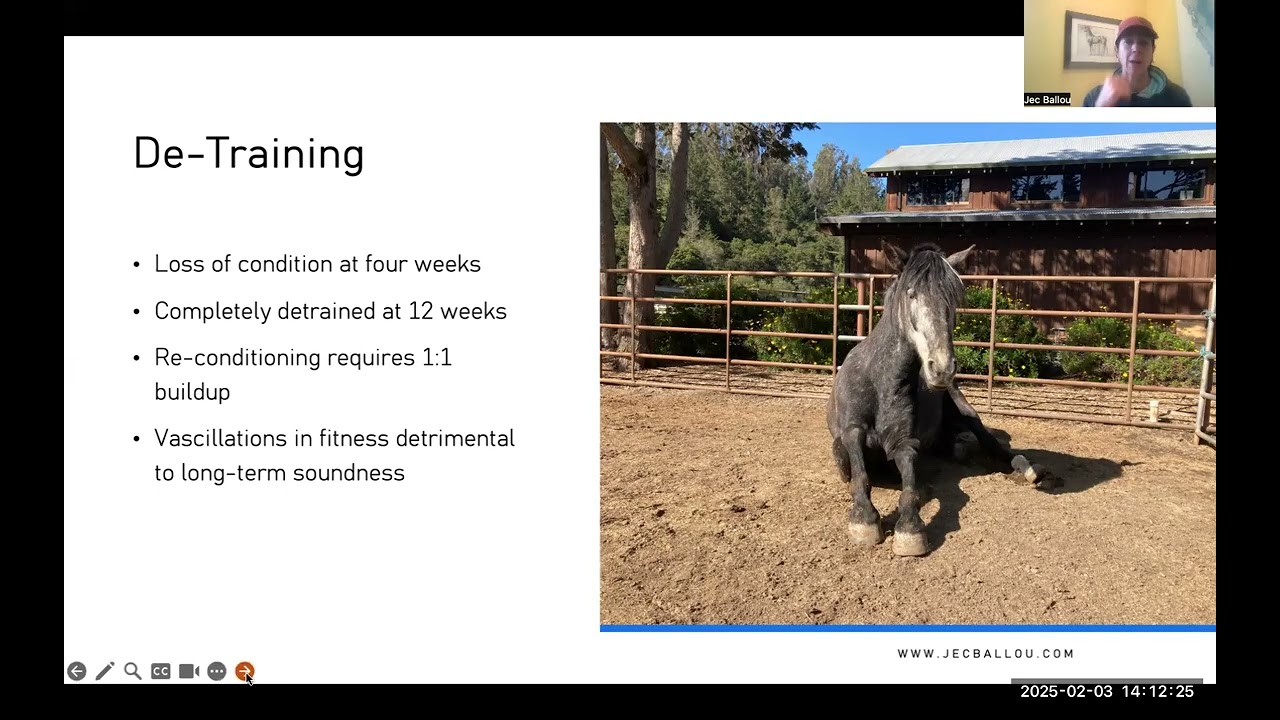 How to Condition Horses that are Out of Shape
