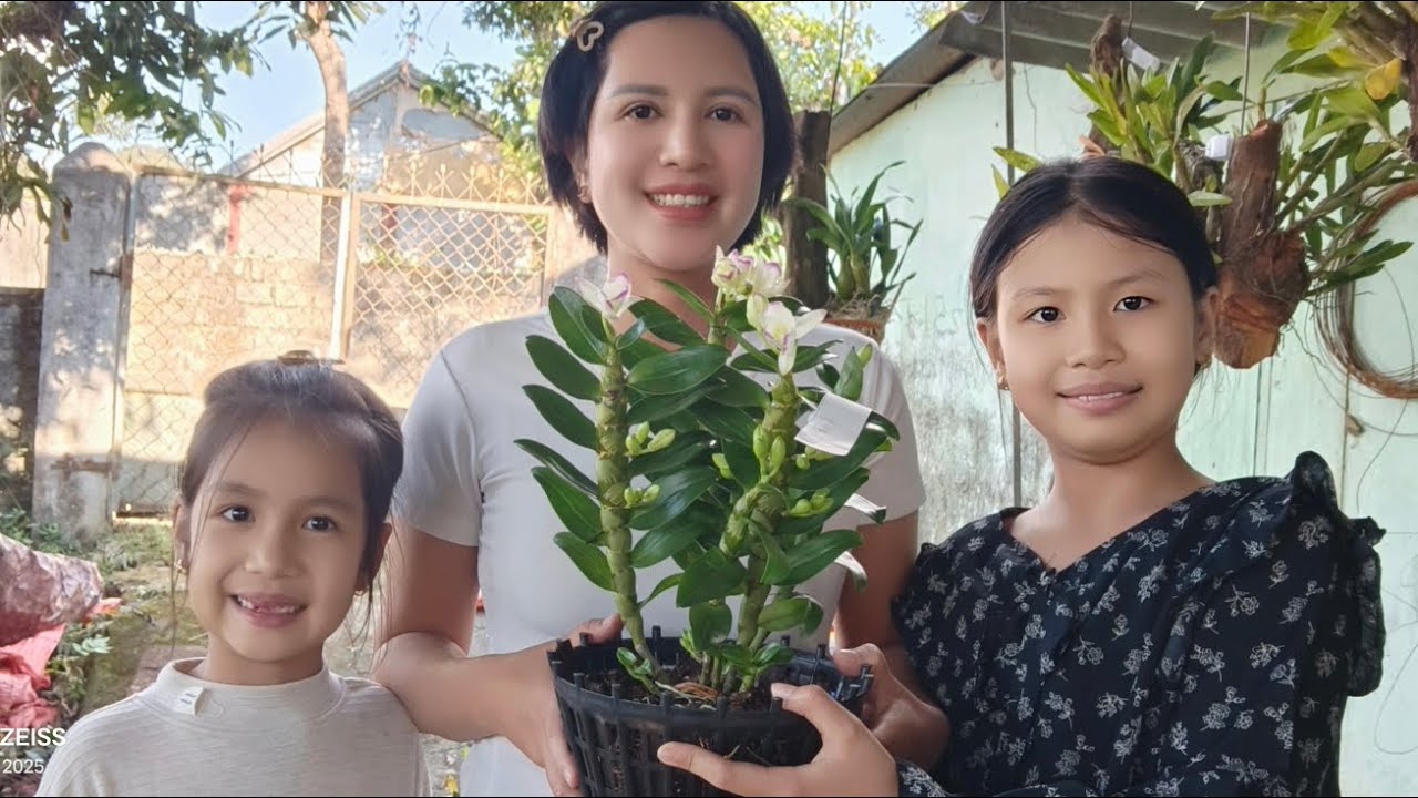 C&Ocirc; GI&Aacute;O V&Ugrave;NG CAO B&Aacute;N LAN 0836.073.218||PHONG LAN TV