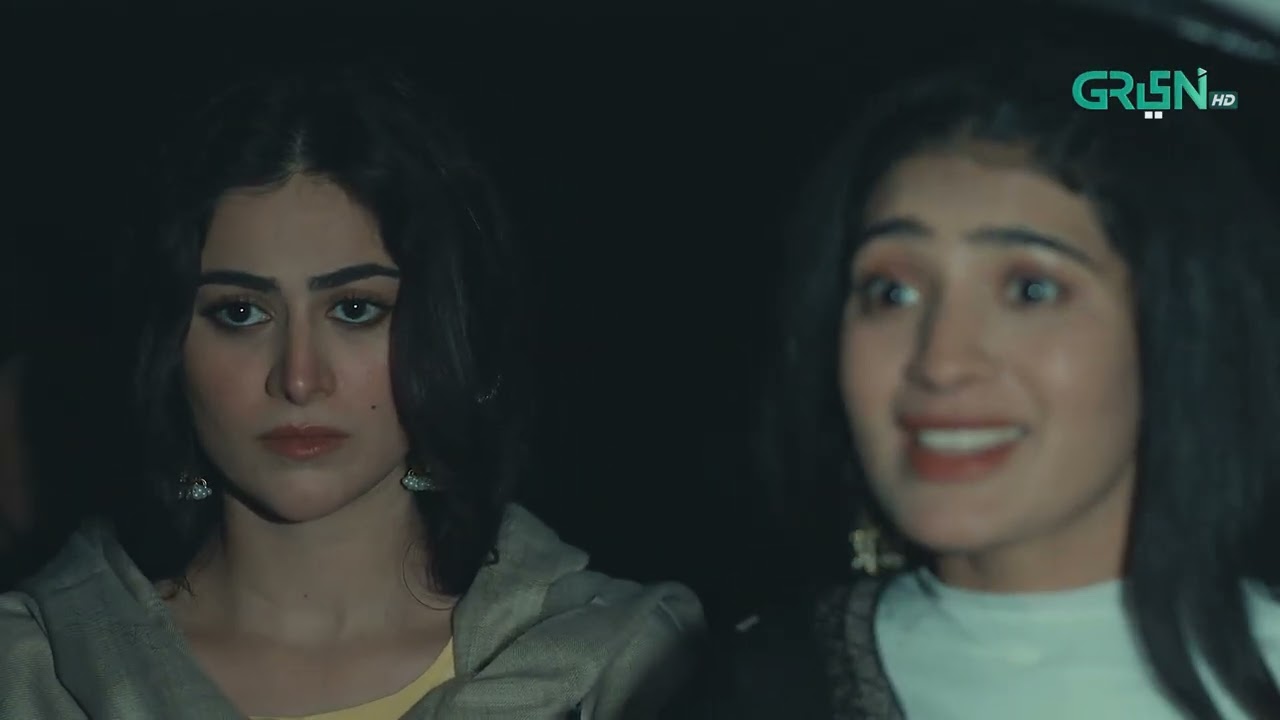 Apni Qeemat Bolo Aur Mere Sath Ek Raat Guzaro #hinaafridi #imranashraf #greenbestdramas