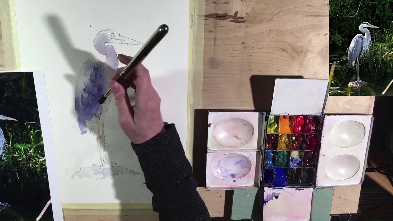 Heron Watercolor Demo