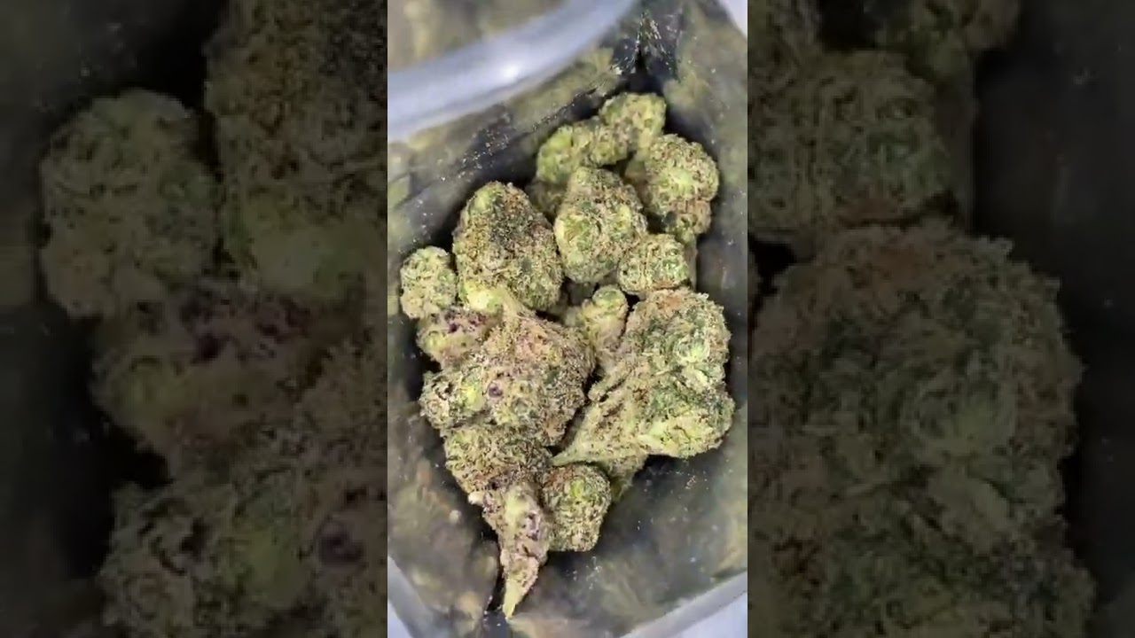 Late Night Jelly Donut &bull; Strain Review 🔥🔥🔥🔥