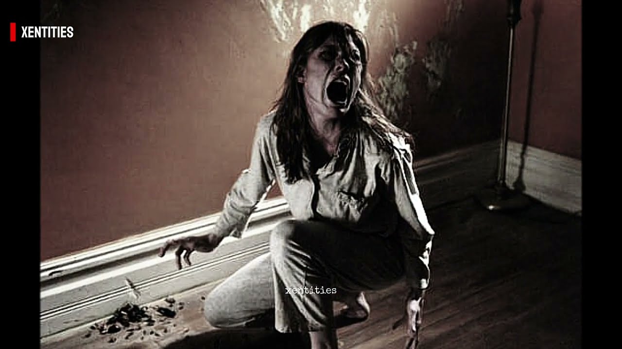 EMILY ROSE A REAL PARANORMAL CASE | HINDI