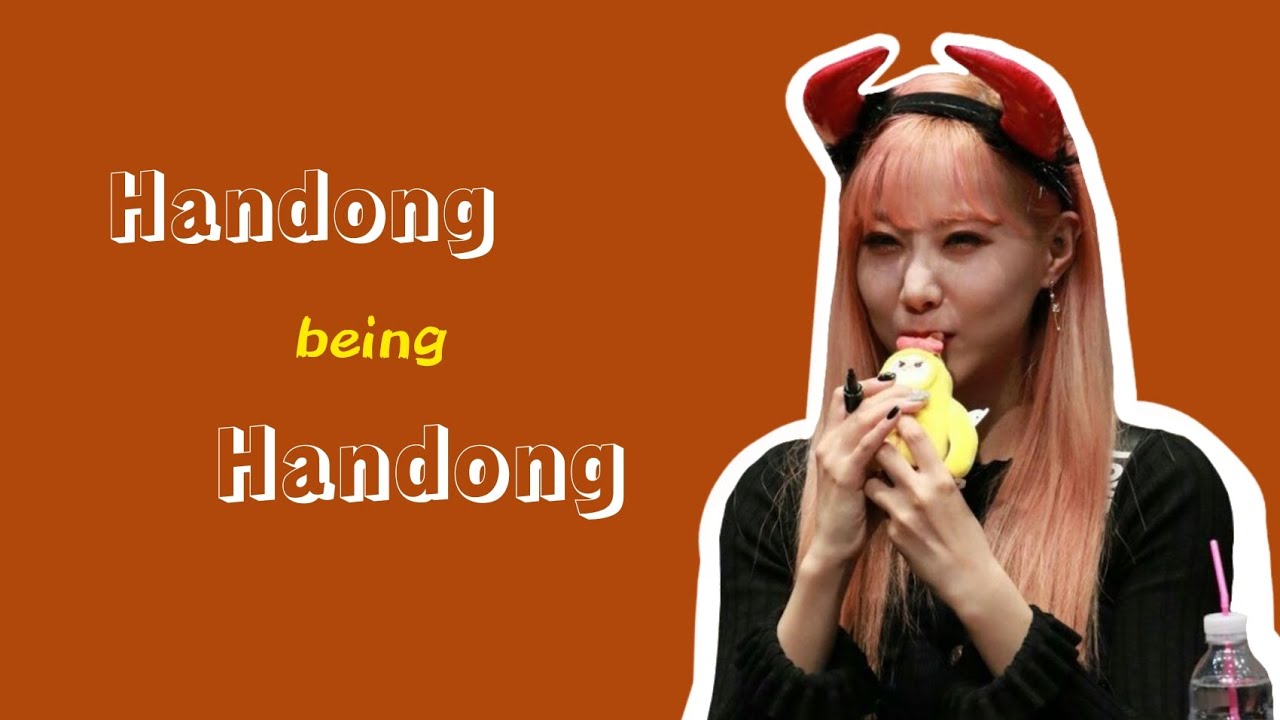 Handong being Handong
