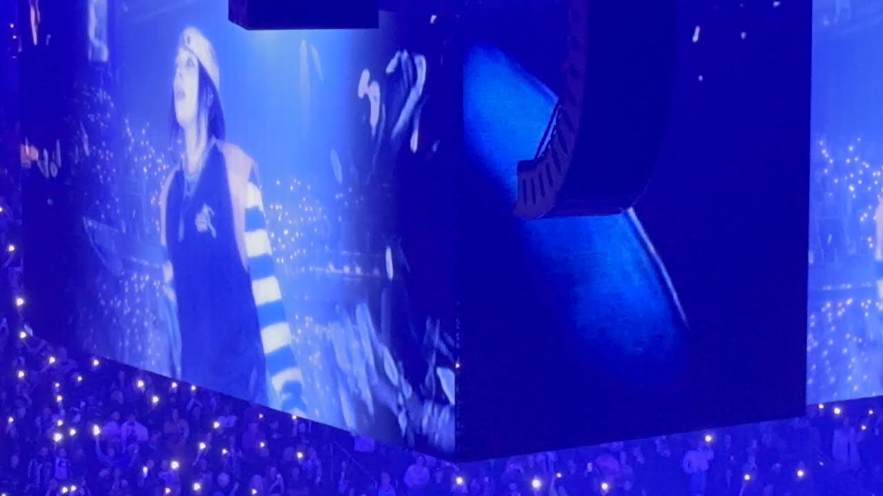 Billie Eilish - WILDFLOWER LIVE Seattle N1 Hit Me Hard and Soft Tour 12/5/2024 Climate Pledge Arena