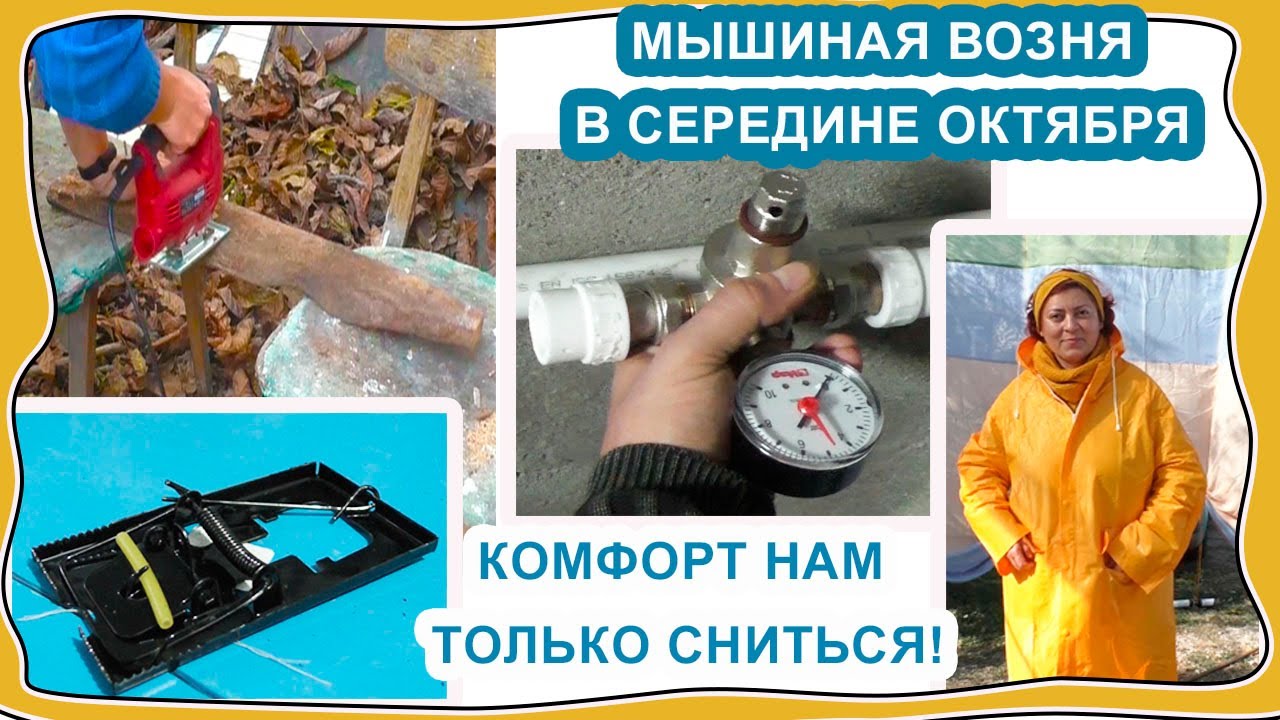 О тёпленькая пошла!)) Баба бой!… И напилит и согреет!))) Два мышелова в доме!