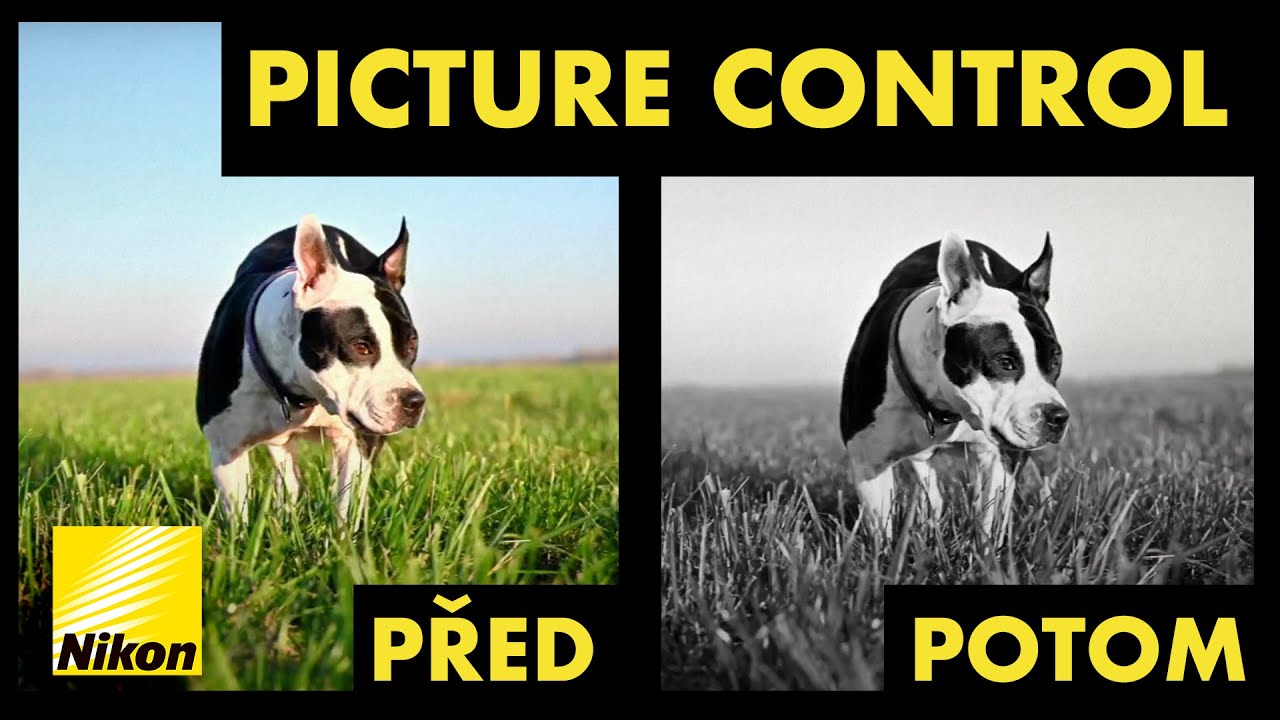 CO je Picture Control a PROČ HO POUŽÍVAT? (tutorial)