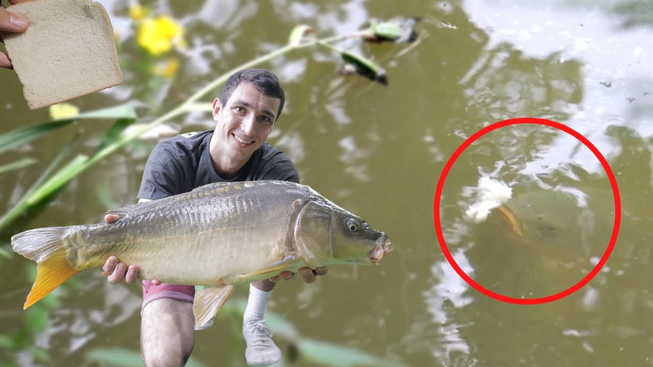 Karpfen mit Schwimmbrot | So spannend und so einfach | Tutorial, Tipps & Tricks, Livebisse 🍞😱