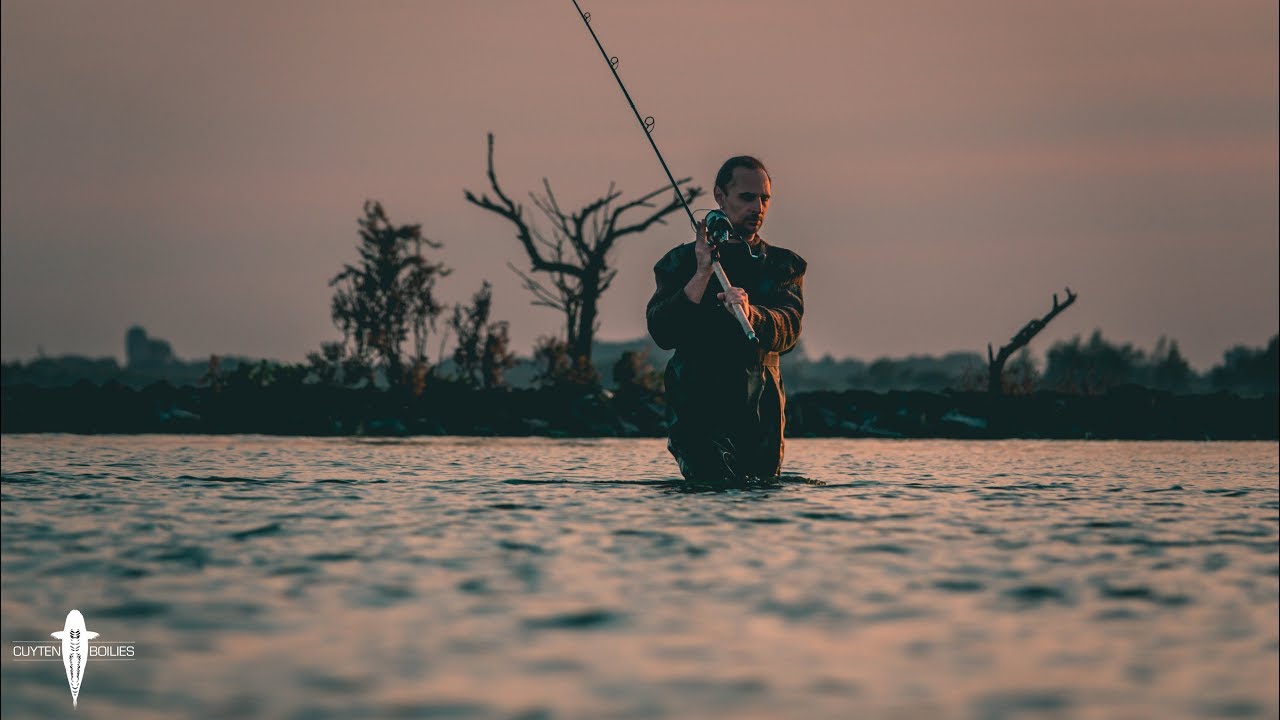 Cuyten Boilies - Coming Soon