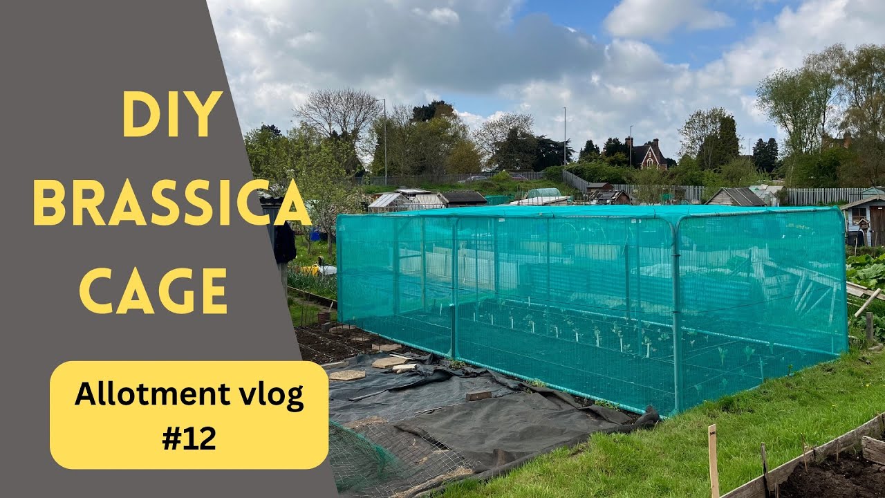 DIY Brassica Cage