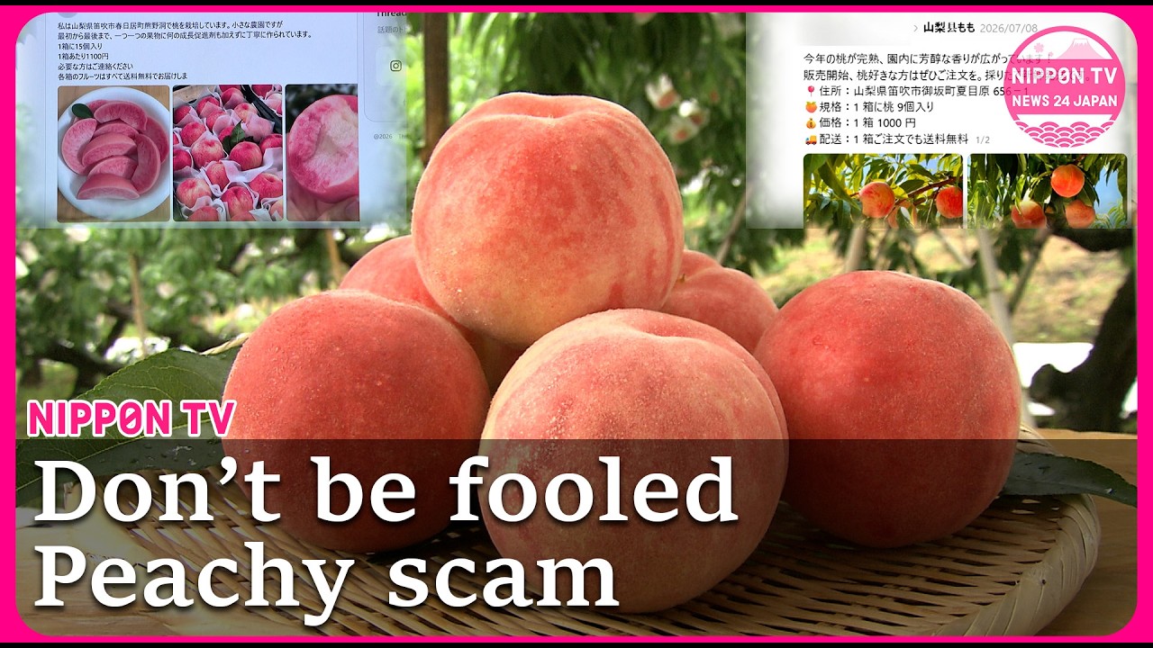 Fake peach sale scams flood social media