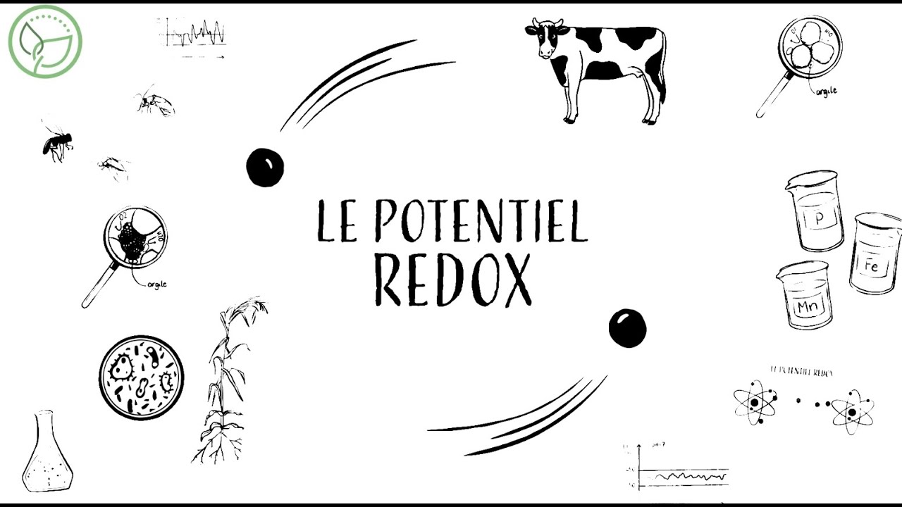 TIMAC AGRO présente le potentiel redox