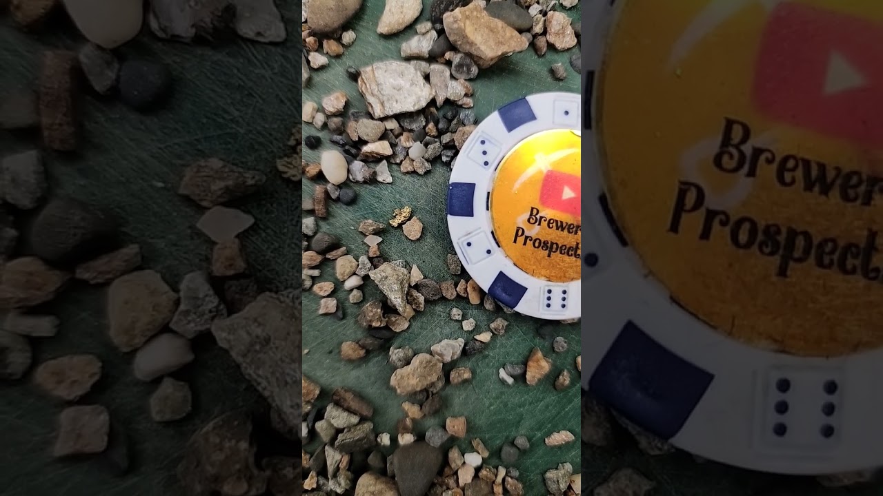 ALWAYS Check Your Bigs! ✨️⛏️💪🏻👍🏻 #GoldPicker #GoldNugget #GoldPanning #GoldFam