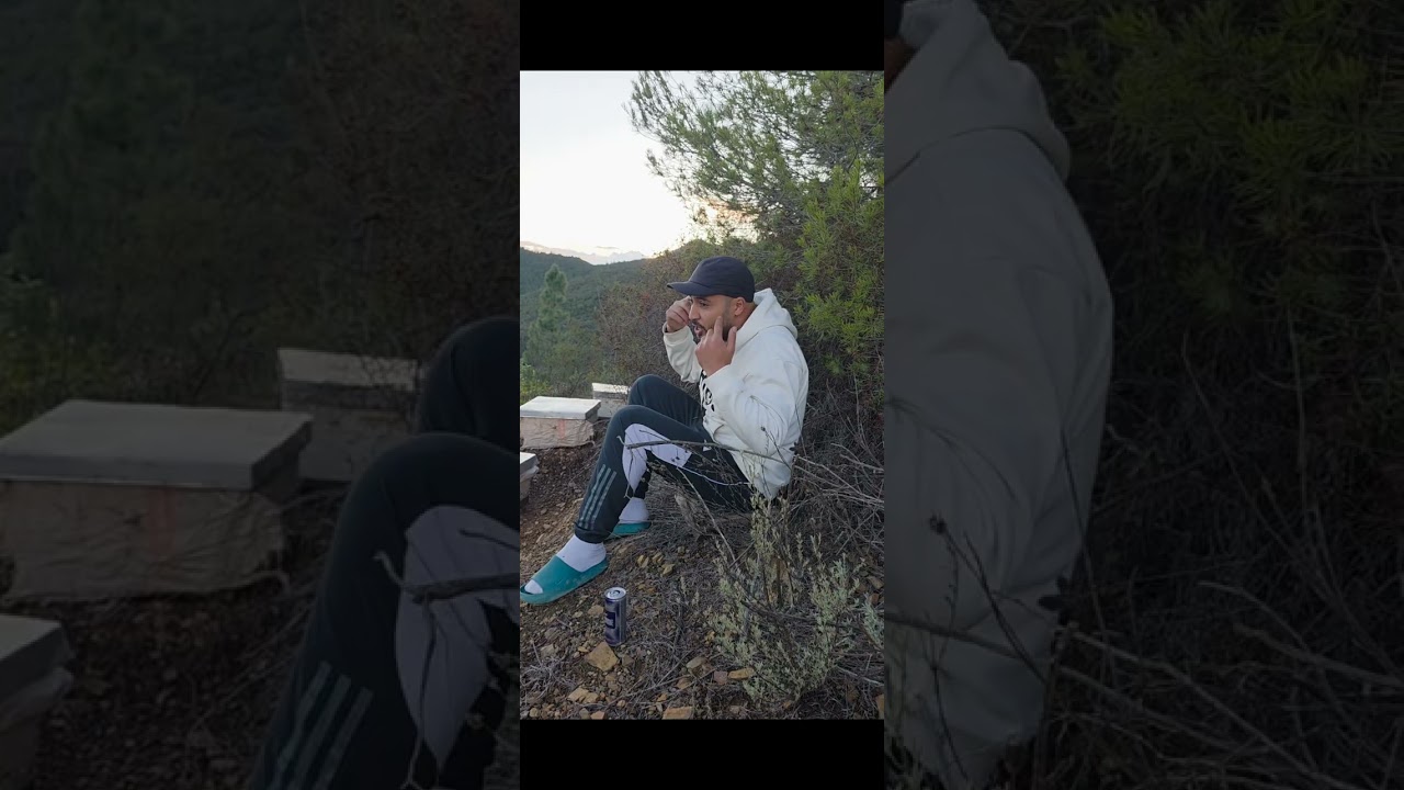 تربية النحل 