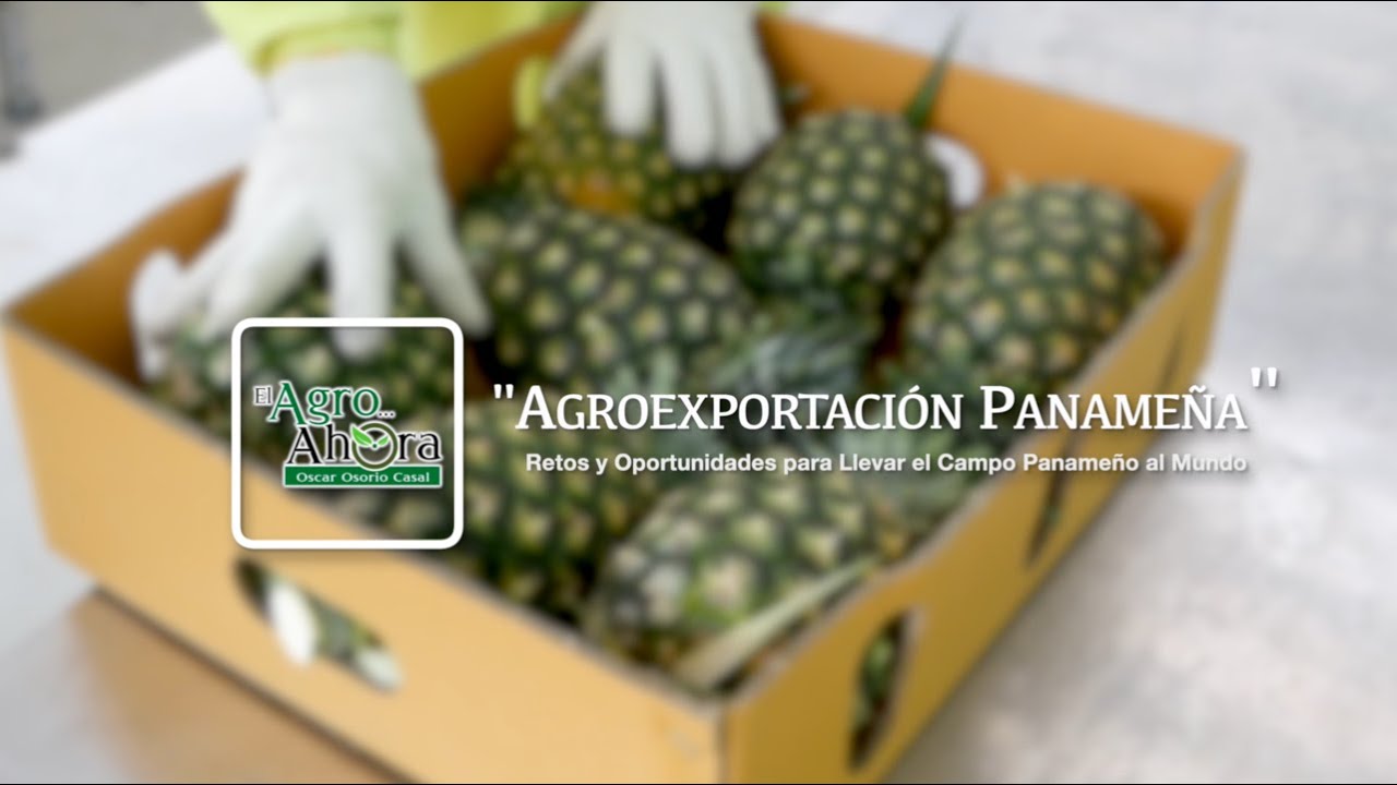 # Agro. Que productos podemos Exportar desde Panamá.