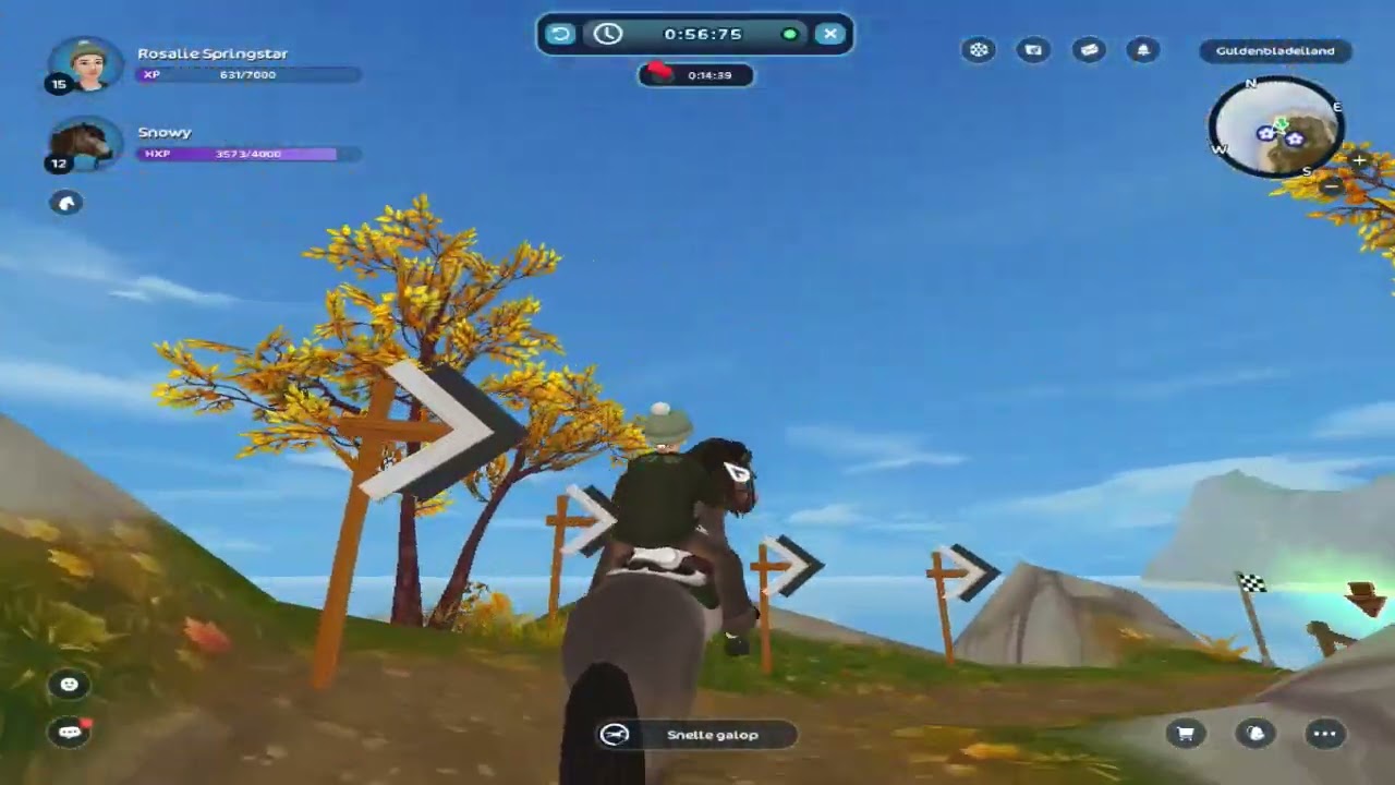 Tips hoe je star coins kan sparen. (trainen).