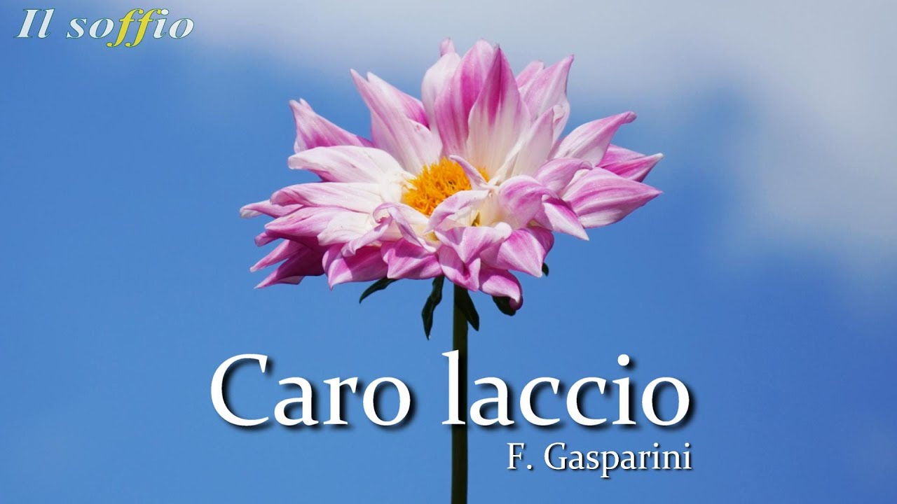 【イタリア古典歌曲集１】Arie antiche Italiane 1 - 19. Caro laccio