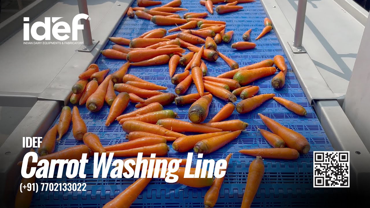 Carrot Washing Line, Potato Washing Line