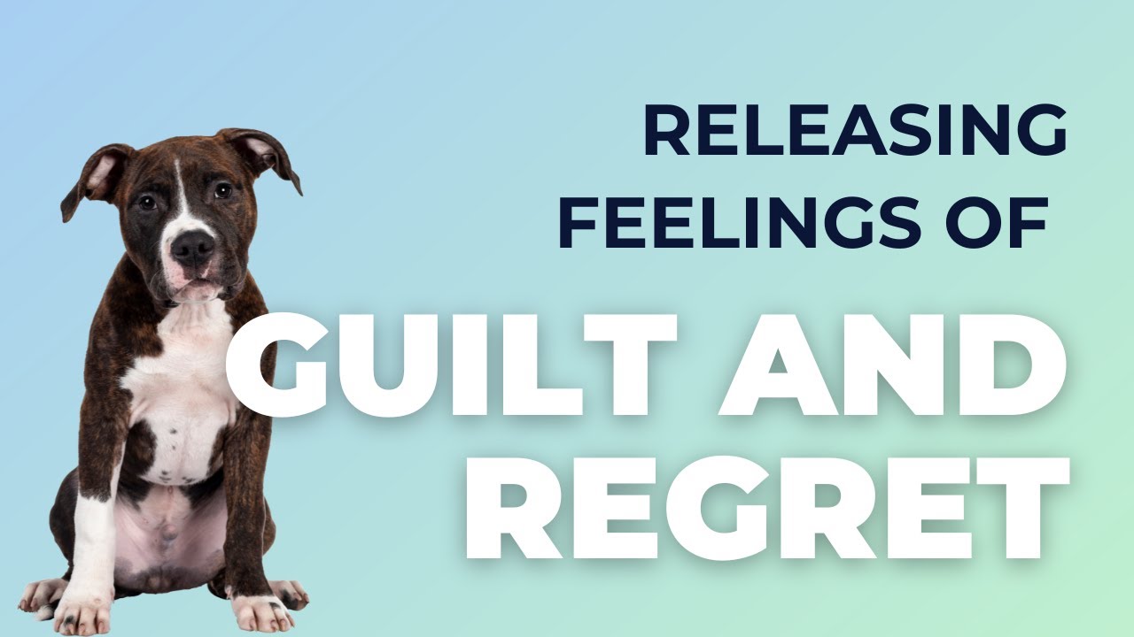 Struggling with guilt after losing your pet?