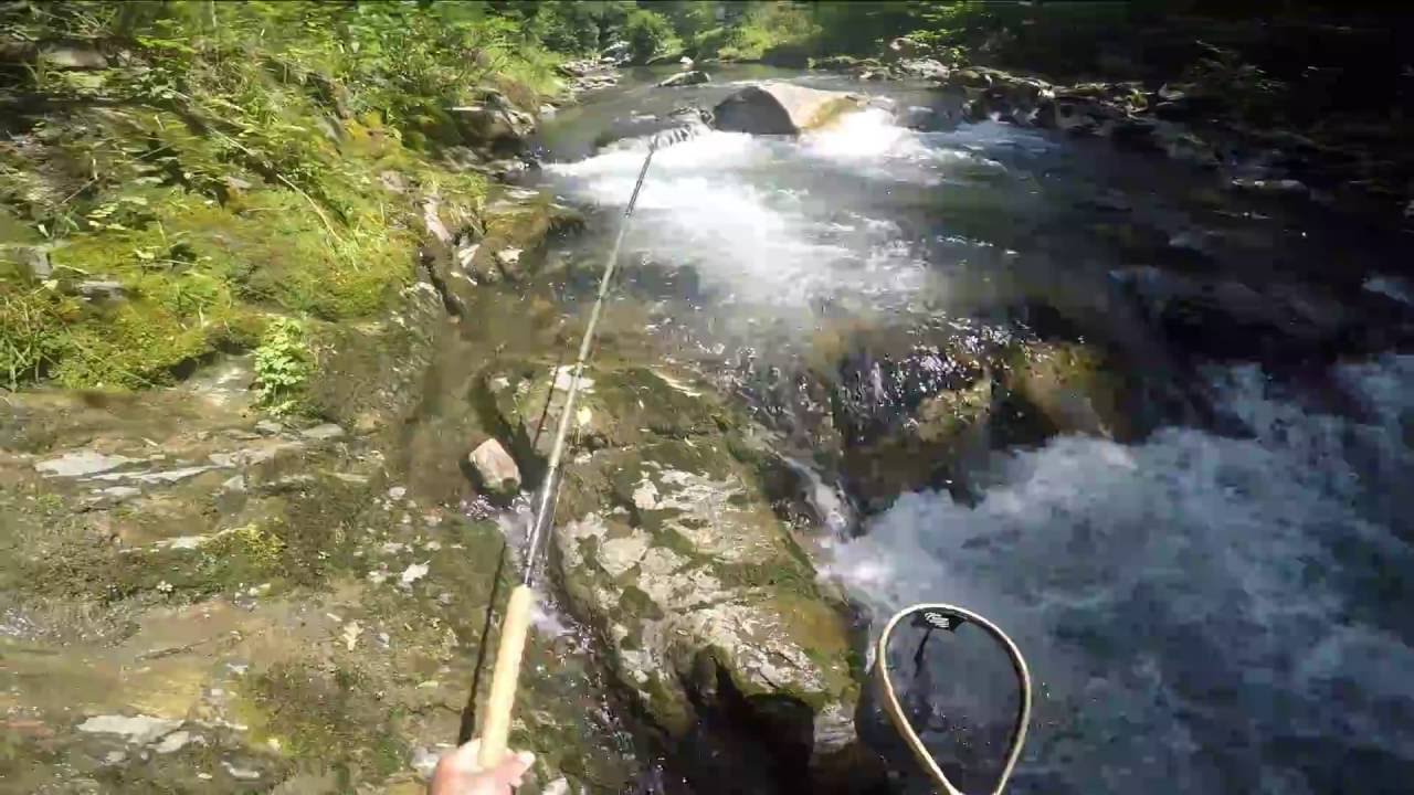 Peche &agrave; la truite ds les Pyr&eacute;n&eacute;es