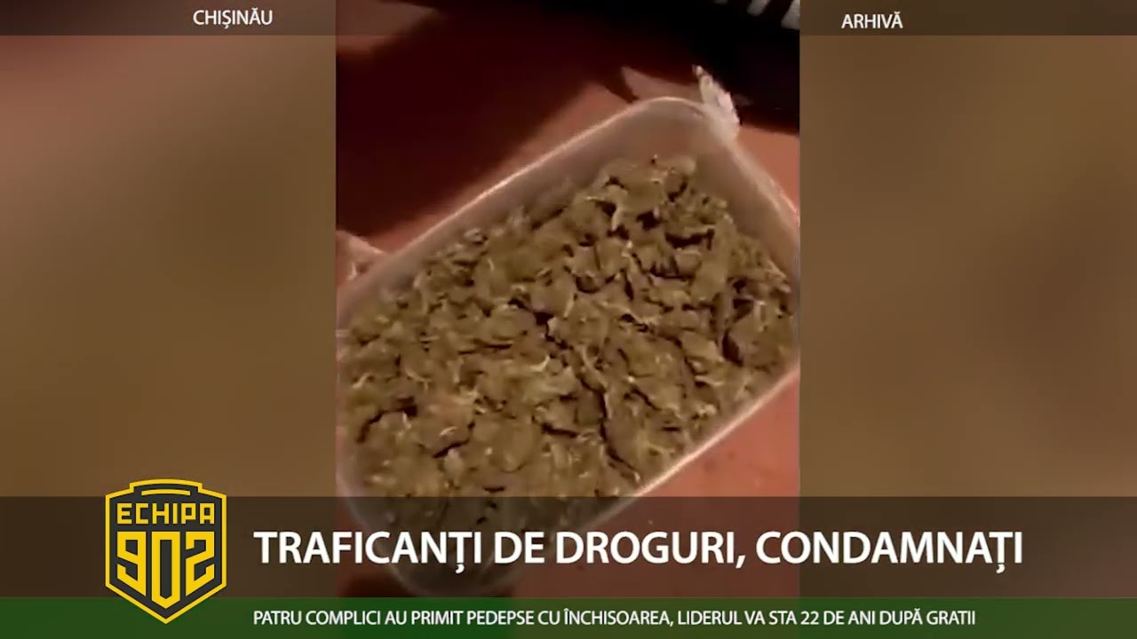 902 TRAFICANȚI DE DROGURI, CONDAMNAȚI final