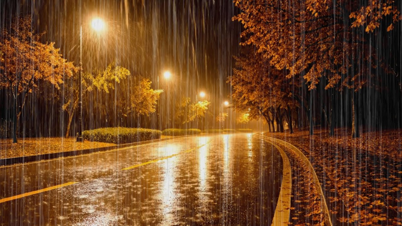 Heavy Rain Sounds for Deep Sleep | Powerful Real Rainstorm Ambience All Night (No Music) 5