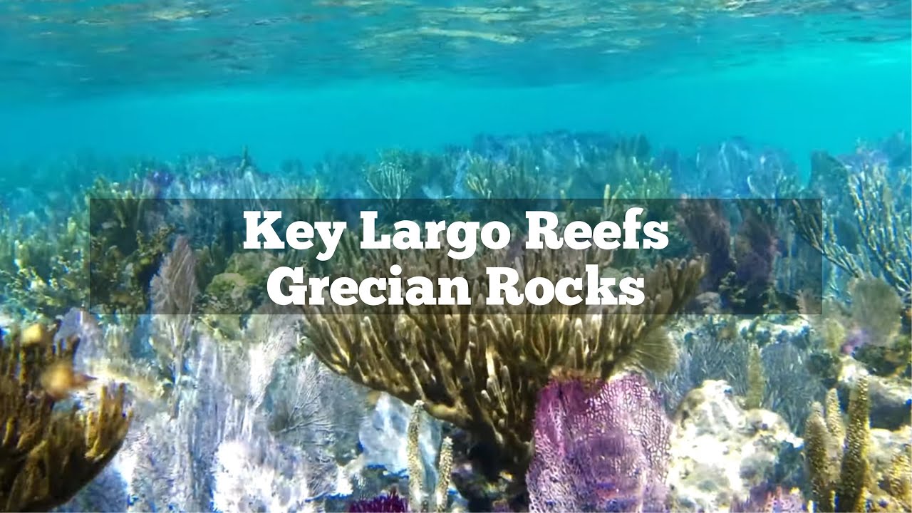 Grecian Rocks Reef John Pennekamp Coral Reef State Park 4K