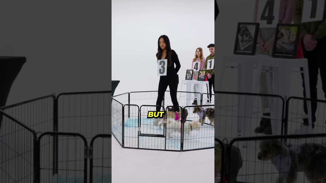 the white dog theory