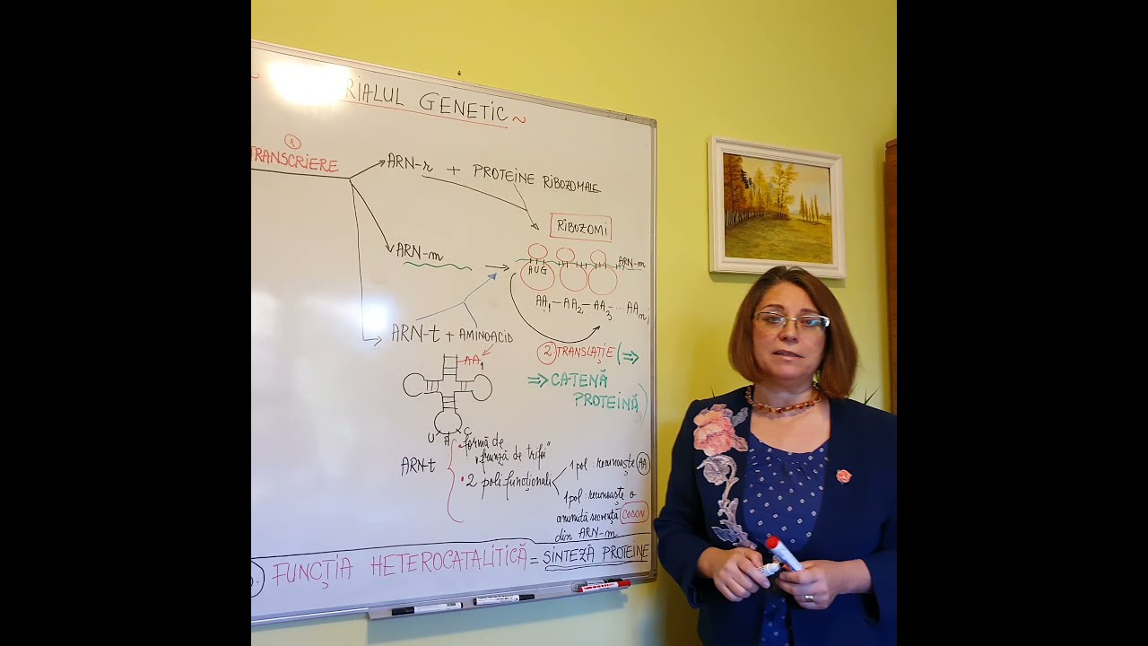 Functiile materialului genetic