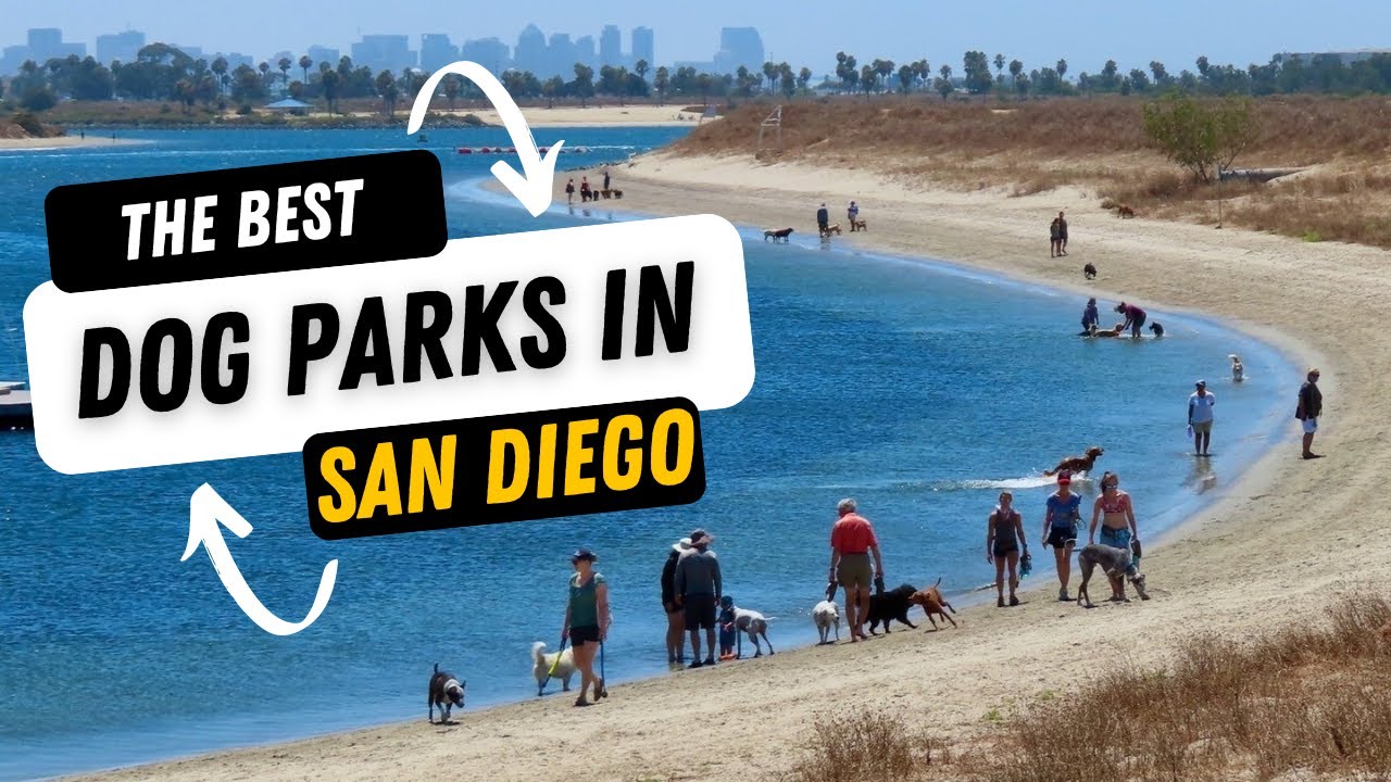The Best Dog Parks in San Diego California